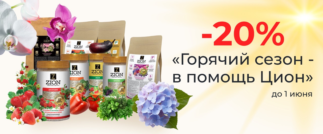 цион -20%